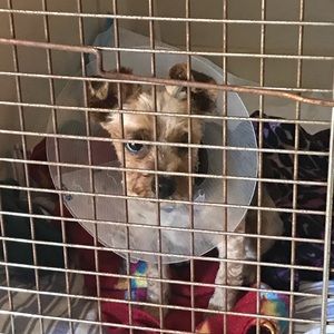 Meet your Posher, Ana